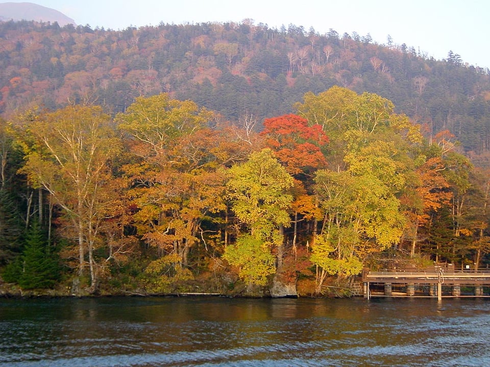 阿寒湖の紅葉